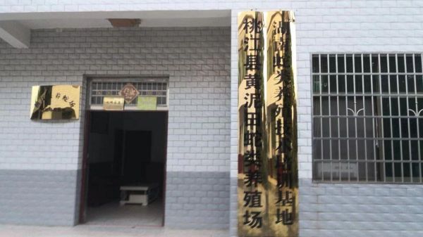養(yǎng)蛇基地